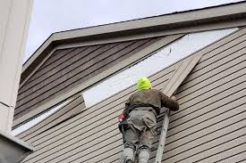 Best Vinyl Siding Installation  in Kingston, IL